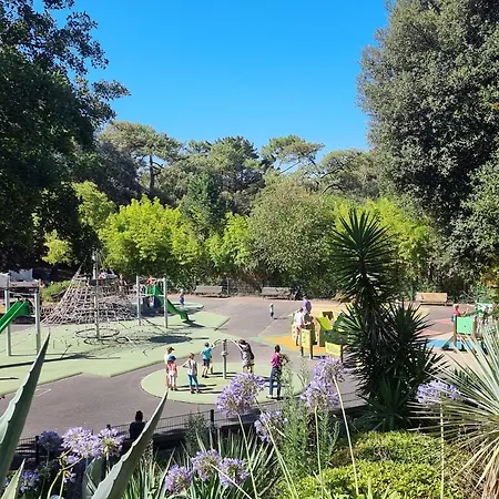 Les Dryades 4 Pax 公寓