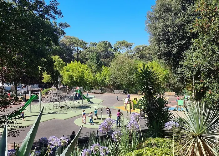 Les Dryades 4 Pax 公寓