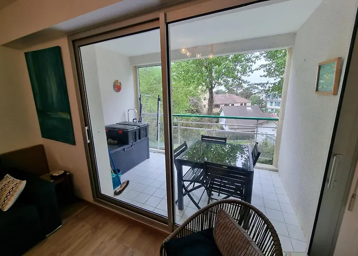 公寓 Les Dryades 4 Pax *