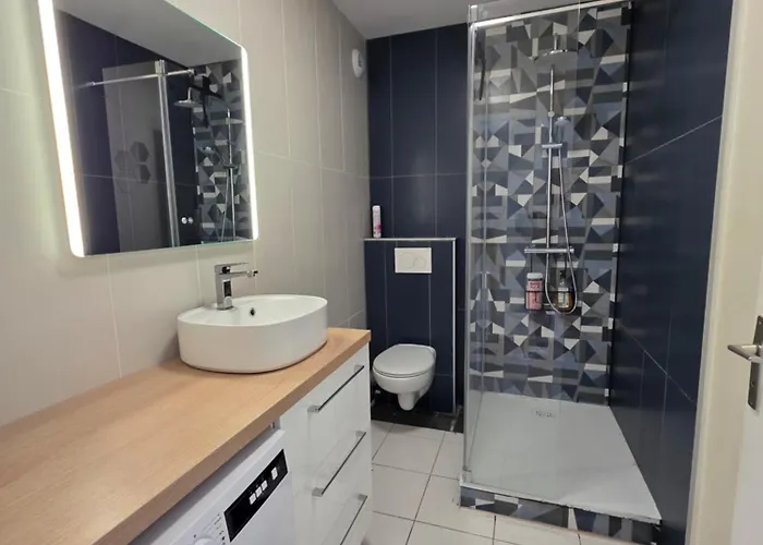 公寓 Les Dryades 4 Pax *